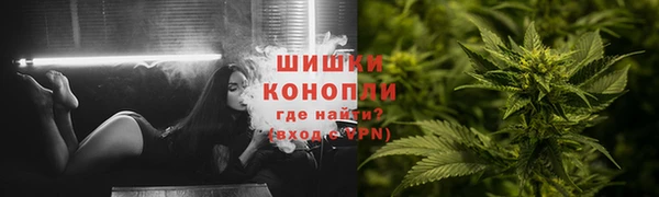 индика Волоколамск