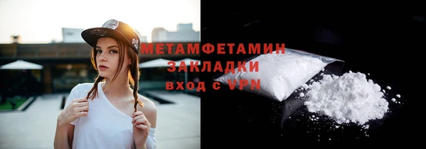 индика Волоколамск