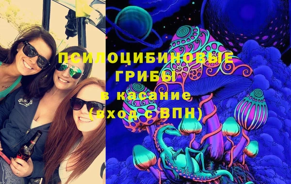 стафф Володарск