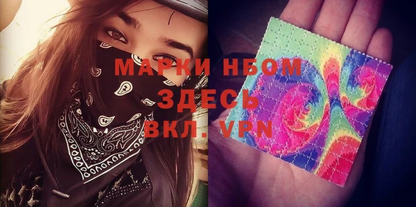 индика Волоколамск