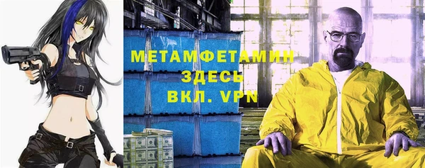 индика Волоколамск
