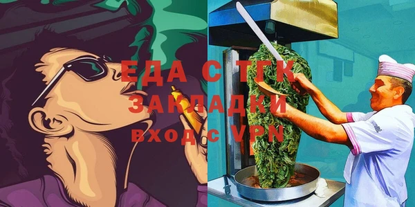 индика Волоколамск