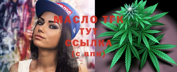 индика Волоколамск