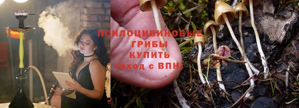 МДПВ Волосово