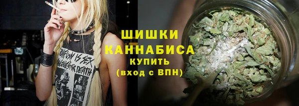 индика Волоколамск