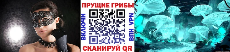 Галлюциногенные грибы мухоморы  Купить  Вязники 